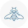 Bee Nest Removal Elmbridge